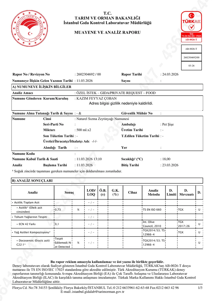 Kazım Efendi için paylaşılan analiz raporu önizleme görseli